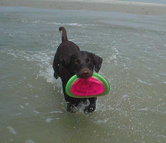 C'mon in, the water's fine!