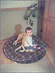 Where's the Dept of Homeland Security when you need it??