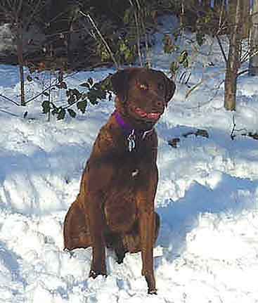 Hey! My butt's cold!