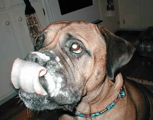 C'mere, gimme a kiss!